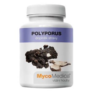 MycoMedica - Polyporus v optimální koncentraci, 90 rostlinných kapslí