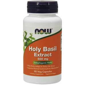 NOW® Foods NOW Holy Basil Extract (bazalka indická), 500 mg, 90 rostlinných kapslí