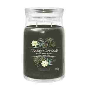 Yankee Candle signature Silver Sage & Pine 567 g