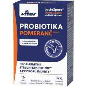 Vitar Probiotika+vláknina+vit.C a D 16 x 2 g