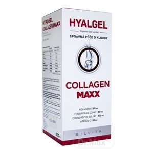 Hyalgel Collagen MAXX 500 ml