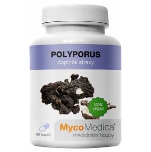 MycoMedica Polyporus extrakt 90 kapsúl