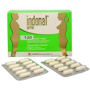 Indonal partner cps 1x120 ks cps 120