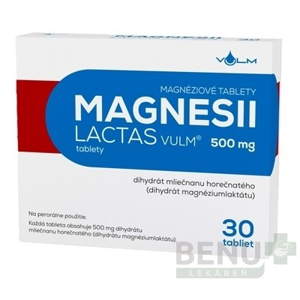 MAGNESII LACTAS VULM 500 mg 1x30 ks tbl 30