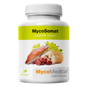 MycoMedica MycoSomat vegán 90 kapsúl