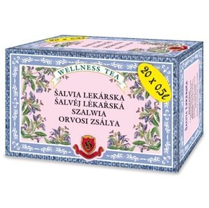 Herbex Šalvia lekárska bylinný čaj 20 x 3 g