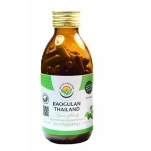 Salvia Paradise Ženšen päťlistý Jiaogulan Thailand 120 kapsúl
