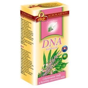 Agrokarpaty DNA bylinný čaj čistý prírodný produkt, 20 x 2 g