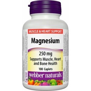 Webber Naturals Magnesium 100tbl 250 tabliet