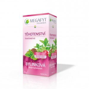 MEGAFYT Bylinková lekáreň Tehotenstvo porciovaný čaj 20 x 1,5 g